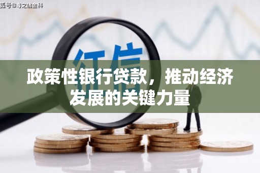 和林格尔政策性银行贷款，推动经济发展的关键力量