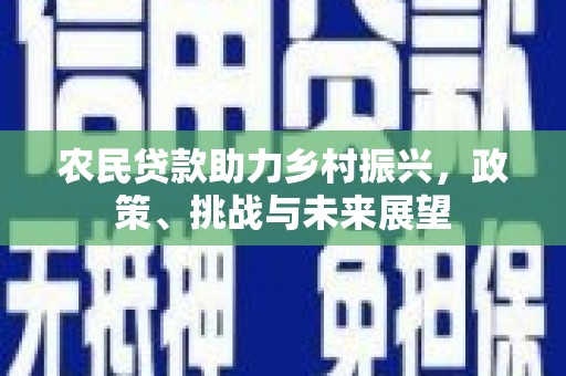 和林格尔农民贷款助力乡村振兴，政策、挑战与未来展望