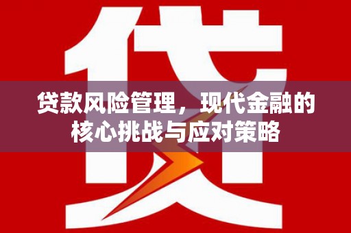 和林格尔贷款风险管理，现代金融的核心挑战与应对策略