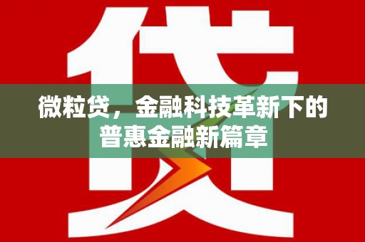 和林格尔微粒贷，金融科技革新下的普惠金融新篇章