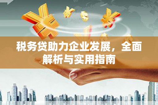 和林格尔税务贷助力企业发展，全面解析与实用指南
