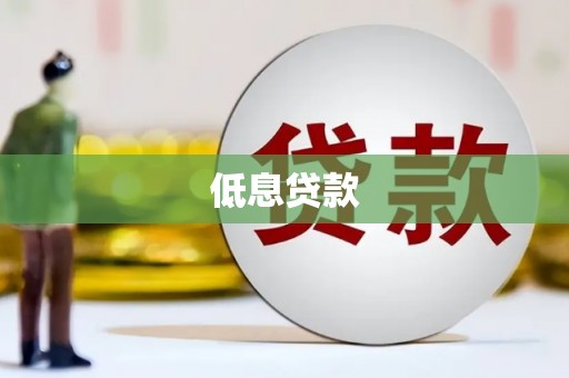 和林格尔低息贷款