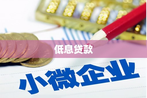 和林格尔低息贷款