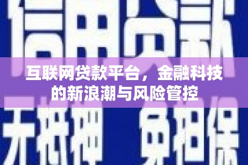 和林格尔互联网贷款平台，金融科技的新浪潮与风险管控