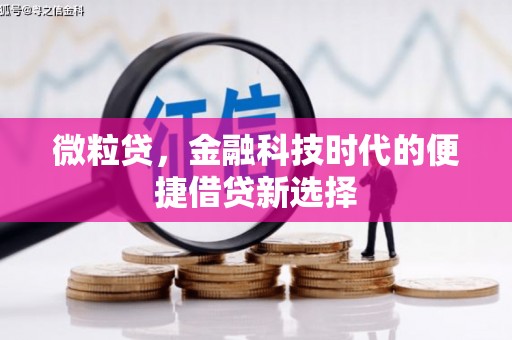 和林格尔微粒贷，金融科技时代的便捷借贷新选择
