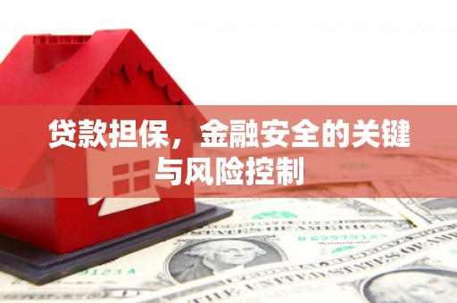 和林格尔贷款担保，金融安全的关键与风险控制