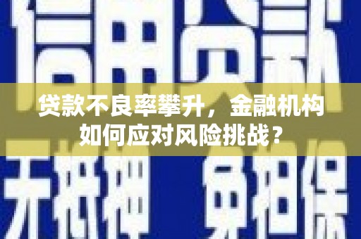 和林格尔贷款不良率攀升，金融机构如何应对风险挑战？