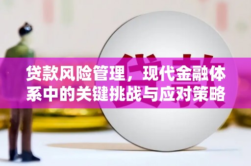 和林格尔贷款风险管理，现代金融体系中的关键挑战与应对策略