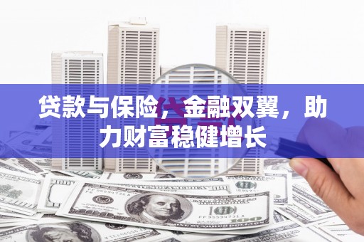 和林格尔贷款与保险，金融双翼，助力财富稳健增长
