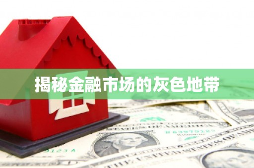 和林格尔揭秘金融市场的灰色地带