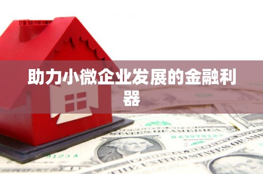 和林格尔助力小微企业发展的金融利器