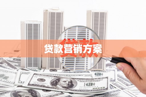 和林格尔贷款营销方案