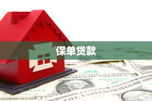 和林格尔保单贷款